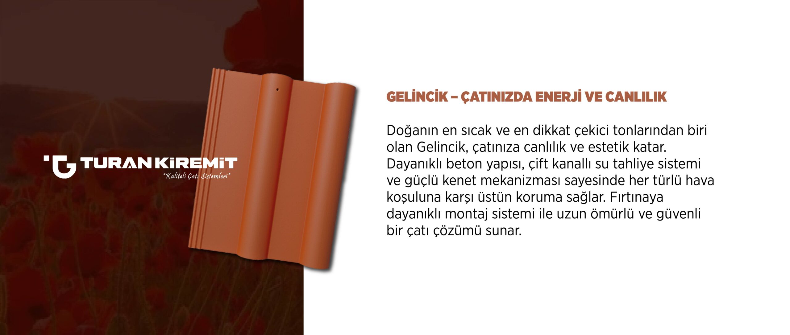 turan-kiremit-renkler-12